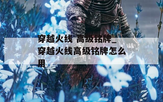 穿越火线 高级铭牌_穿越火线高级铭牌怎么用
