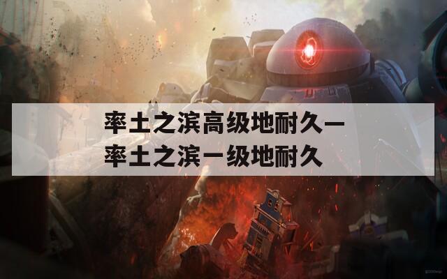 率土之滨高级地耐久—率土之滨一级地耐久