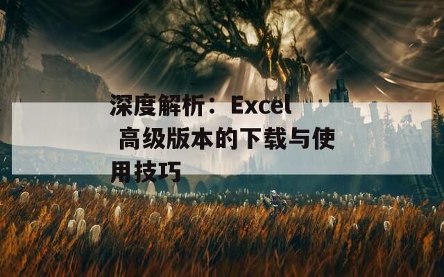 深度解析：Excel 高级版本的下载与使用技巧