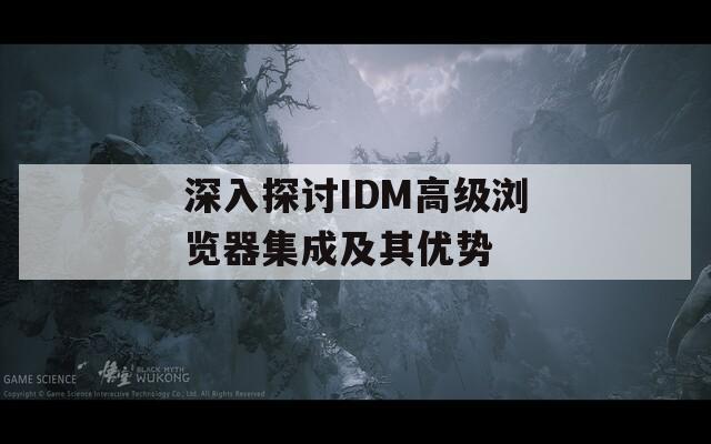 深入探讨IDM高级浏览器集成及其优势  第1张