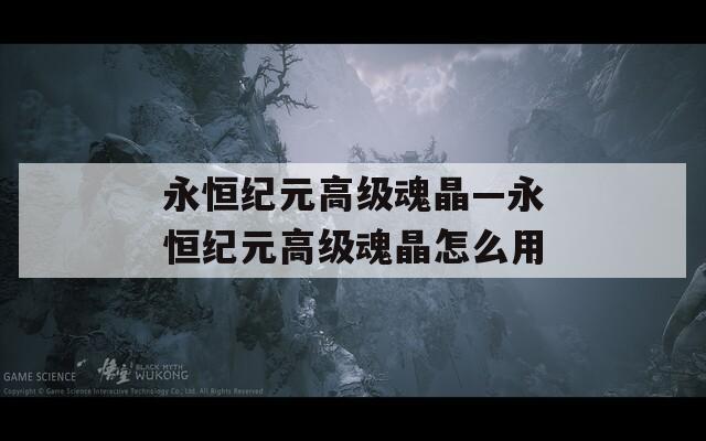 永恒纪元高级魂晶—永恒纪元高级魂晶怎么用  第1张