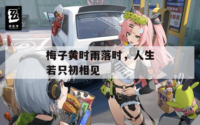 梅子黄时雨落时，人生若只初相见