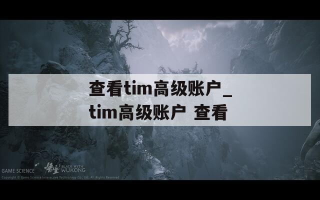 查看tim高级账户_tim高级账户 查看