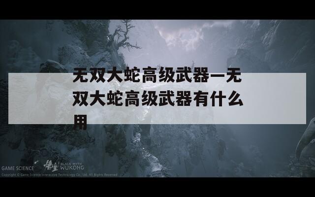 无双大蛇高级武器—无双大蛇高级武器有什么用
