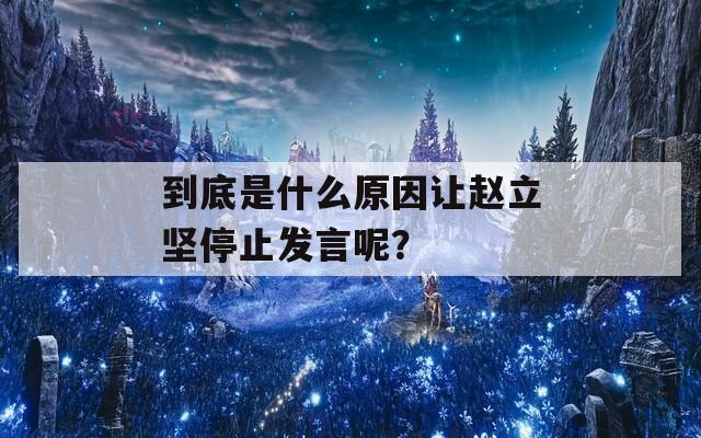 到底是什么原因让赵立坚停止发言呢？