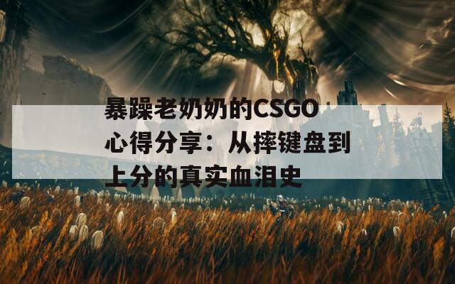暴躁老奶奶的CSGO心得分享：从摔键盘到上分的真实血泪史