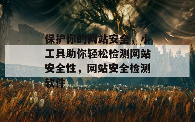 保护你的网站安全，小工具助你轻松检测网站安全性，网站安全检测软件