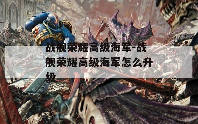 战舰荣耀高级海军-战舰荣耀高级海军怎么升级  第1张