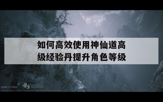 如何高效使用神仙道高级经验丹提升角色等级  第1张