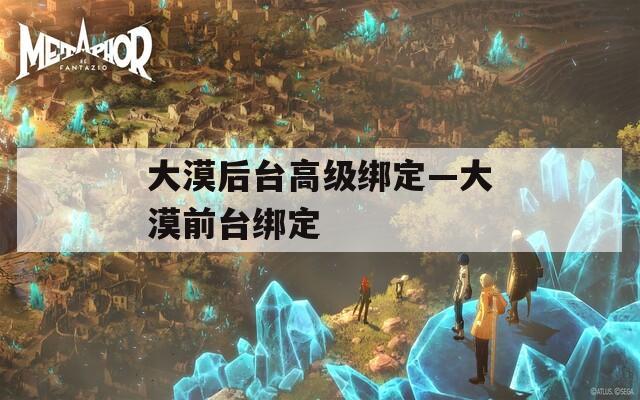 大漠后台高级绑定—大漠前台绑定