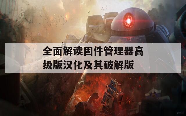 全面解读固件管理器高级版汉化及其破解版
