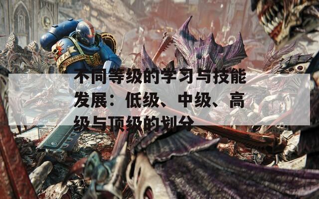 不同等级的学习与技能发展：低级、中级、高级与顶级的划分