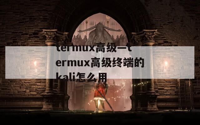 termux高级—termux高级终端的kali怎么用