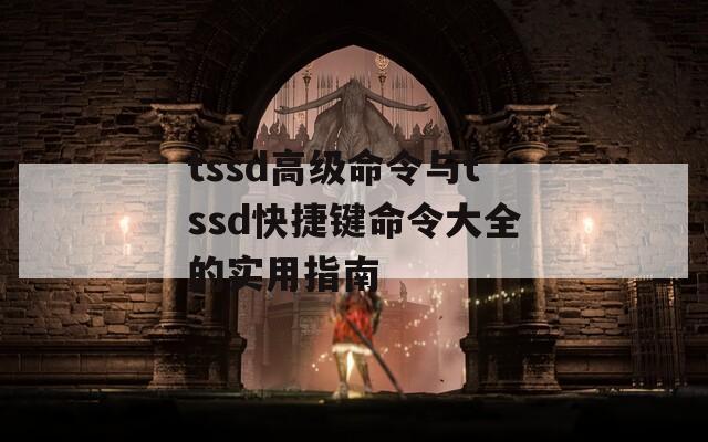 tssd高级命令与tssd快捷键命令大全的实用指南