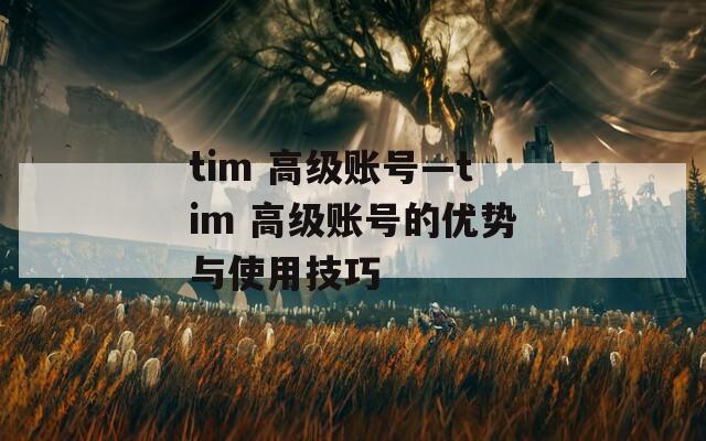 tim 高级账号—tim 高级账号的优势与使用技巧  第1张