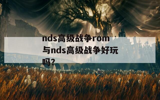 nds高级战争rom与nds高级战争好玩吗？