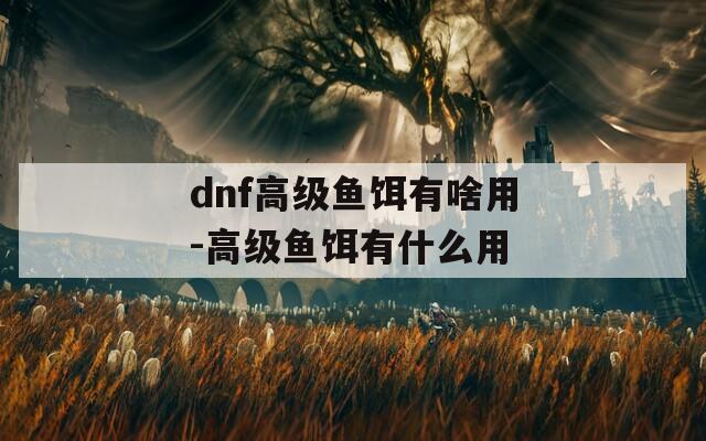dnf高级鱼饵有啥用-高级鱼饵有什么用  第1张