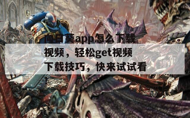 向日葵app怎么下载视频，轻松get视频下载技巧，快来试试看！  第1张
