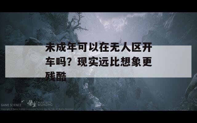 未成年可以在无人区开车吗？现实远比想象更残酷