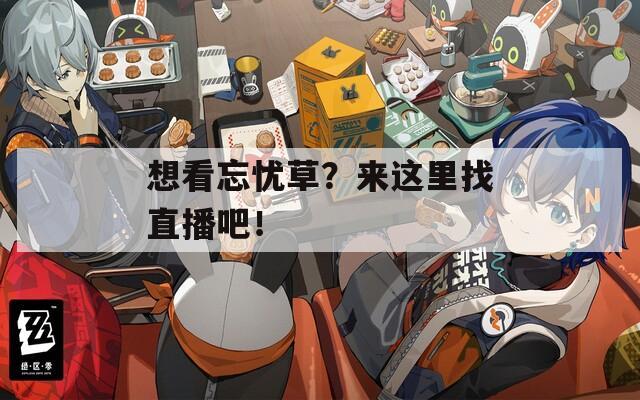 想看忘忧草？来这里找直播吧！