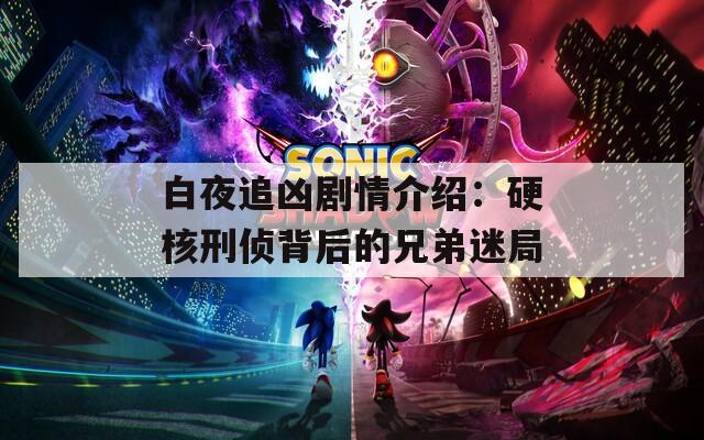 白夜追凶剧情介绍：硬核刑侦背后的兄弟迷局