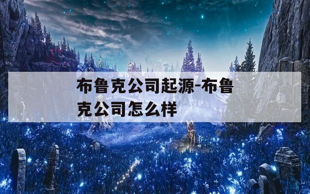 布鲁克公司起源-布鲁克公司怎么样
