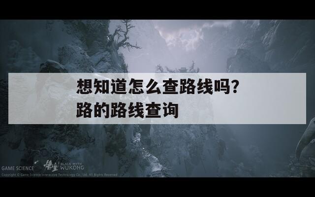 想知道怎么查路线吗？路的路线查询