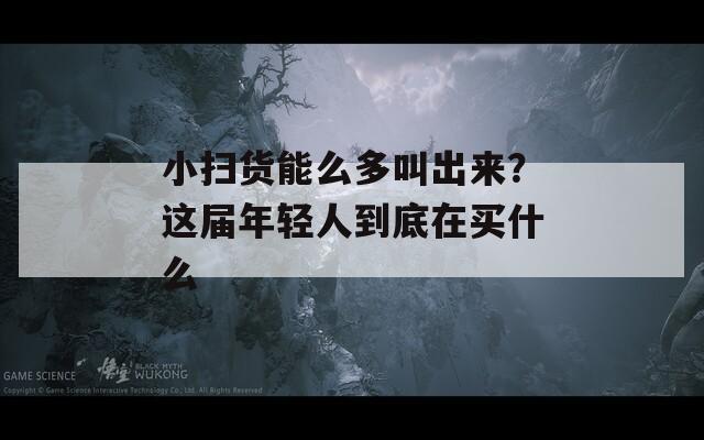 小扫货能么多叫出来？这届年轻人到底在买什么  第1张