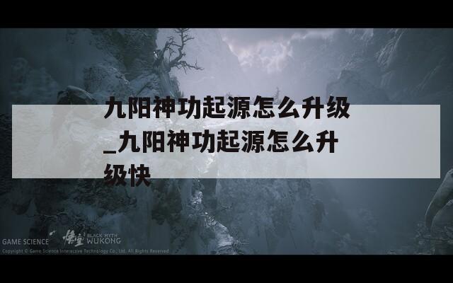 九阳神功起源怎么升级_九阳神功起源怎么升级快  第1张