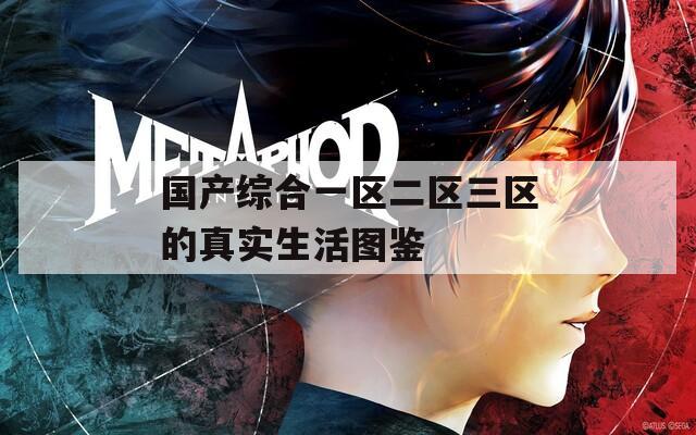 国产综合一区二区三区的真实生活图鉴