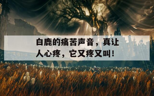 白鹿的痛苦声音，真让人心疼，它又疼又叫！  第1张
