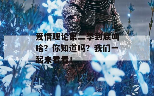 爱情理论第二季到底叫啥？你知道吗？我们一起来看看！
