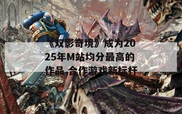 《双影奇境》成为2025年M站均分最高的作品 合作游戏新标杆  第1张