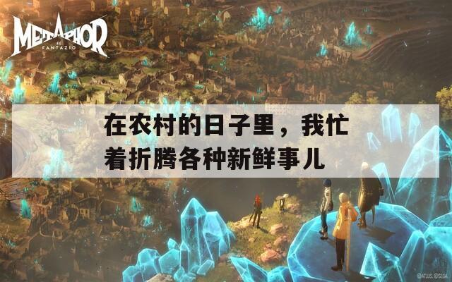在农村的日子里，我忙着折腾各种新鲜事儿  第1张