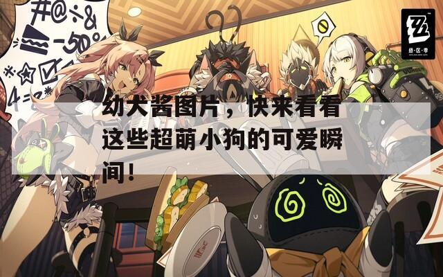 幼犬酱图片，快来看看这些超萌小狗的可爱瞬间！