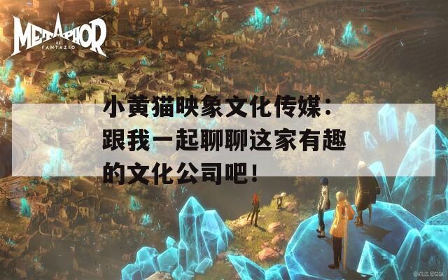 小黄猫映象文化传媒：跟我一起聊聊这家有趣的文化公司吧！  第1张