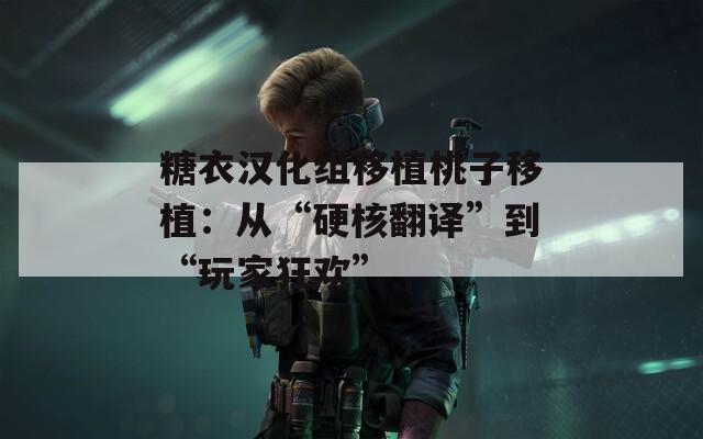 糖衣汉化组移植桃子移植：从“硬核翻译”到“玩家狂欢”  第1张