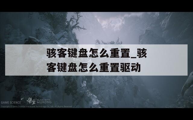 骇客键盘怎么重置_骇客键盘怎么重置驱动  第1张