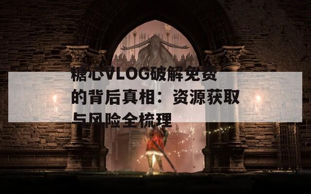 糖心VLOG破解免费的背后真相：资源获取与风险全梳理