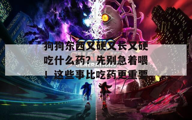 狗狗东西又硬又长又硬吃什么药？先别急着喂！这些事比吃药更重要