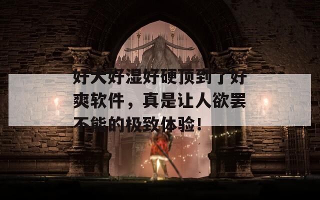 好大好湿好硬顶到了好爽软件，真是让人欲罢不能的极致体验！