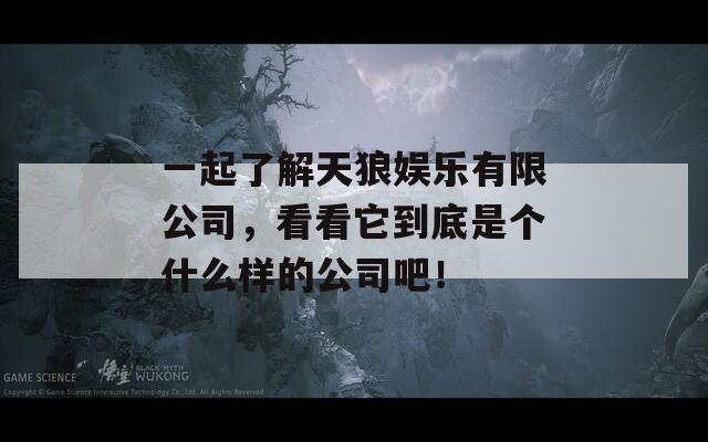 一起了解天狼娱乐有限公司，看看它到底是个什么样的公司吧！