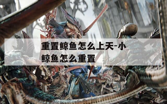 重置鲸鱼怎么上天-小鲸鱼怎么重置