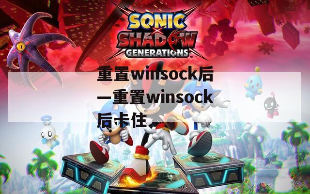 重置winsock后—重置winsock后卡住  第1张