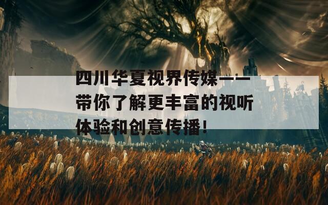 四川华夏视界传媒——带你了解更丰富的视听体验和创意传播！  第1张