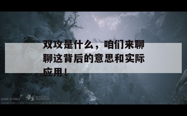 双攻是什么，咱们来聊聊这背后的意思和实际应用！