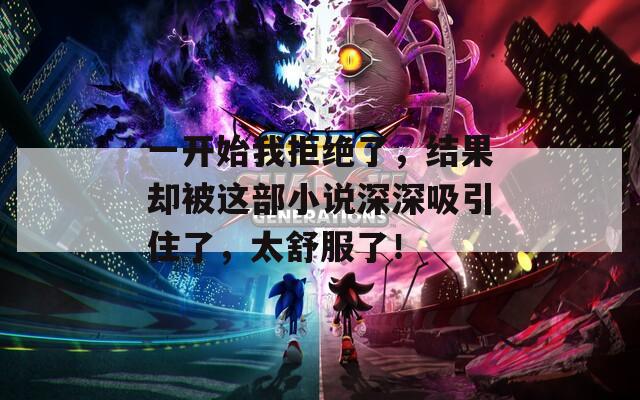 一开始我拒绝了，结果却被这部小说深深吸引住了，太舒服了！