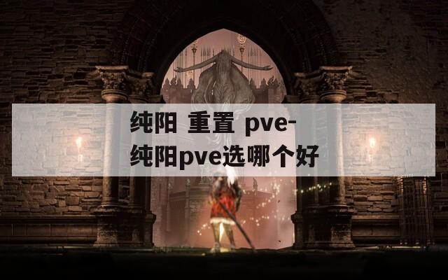 纯阳 重置 pve-纯阳pve选哪个好
