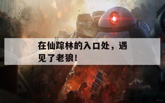 在仙踪林的入口处，遇见了老狼！