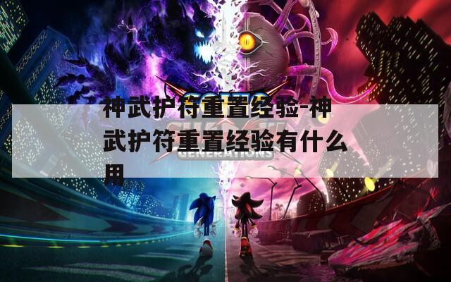 神武护符重置经验-神武护符重置经验有什么用